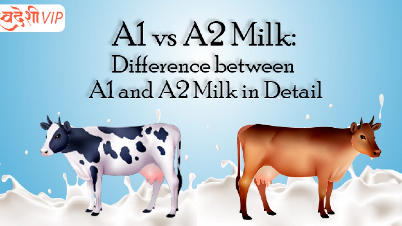 A1 vs A2 Milk: Difference between A1 and A2 Milk in Detail