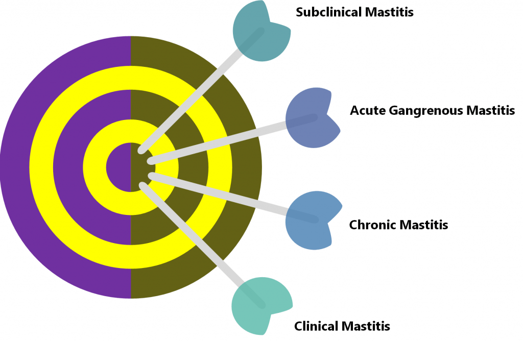 Types of Mastitis in Cows