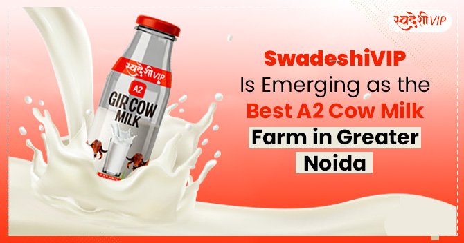 Swadeshi VIP Is Emerging as The Best A2 Cow Milk Farm in Greater Noida