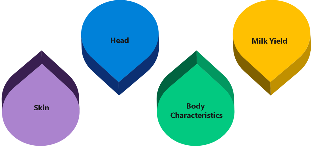 Characteristics of Indigenous Gir Cows