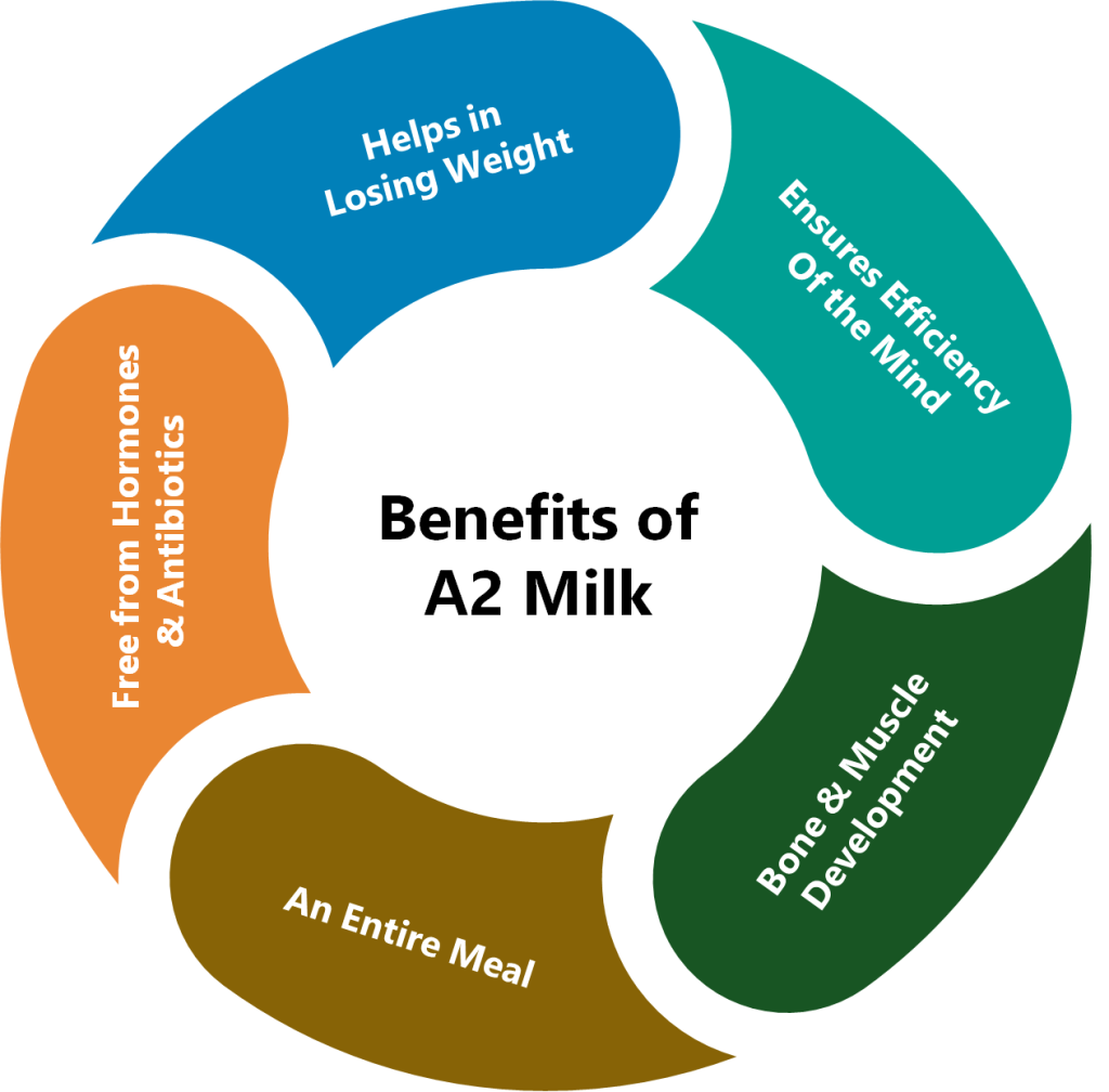Benefits of A2 Gir Cow Milk Produced at SwadeshiVIP