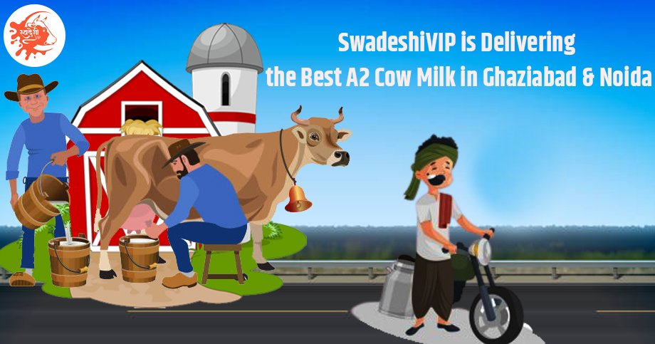 Swadeshivip Is Delivering the Best A2 Cow Milk in Ghaziabad & Noida