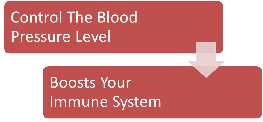 Health Benefits: Control The Blood Pressure Level and Boosts Your Immune System

