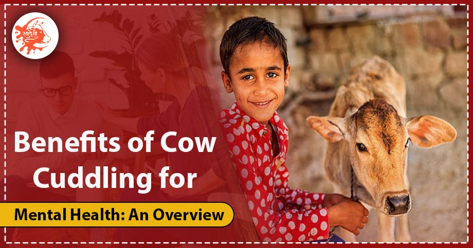 Benefits of cow cuddling
