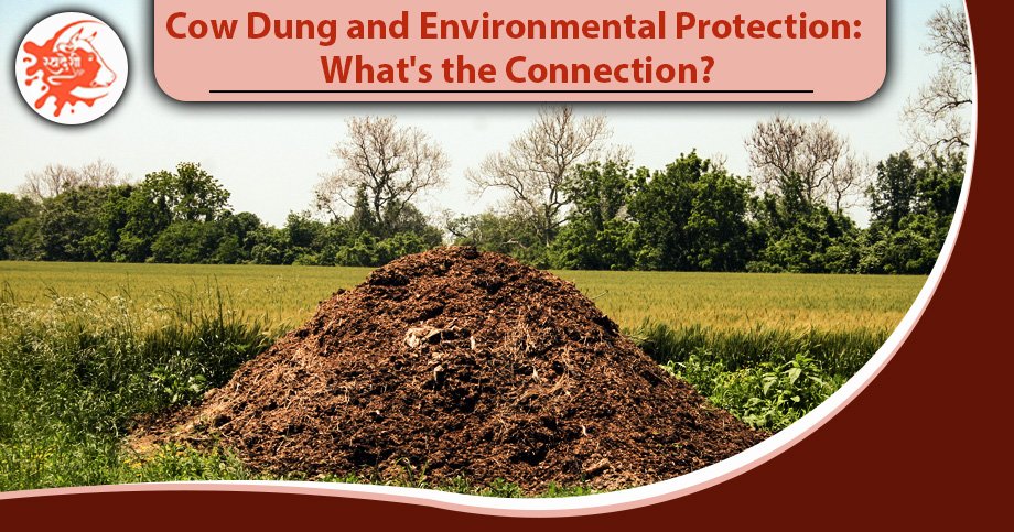 Cow Dung and Environmental Protection