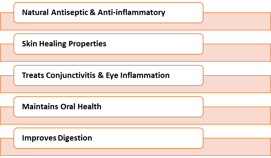 Health Benefits of Herbal Marigold Tea