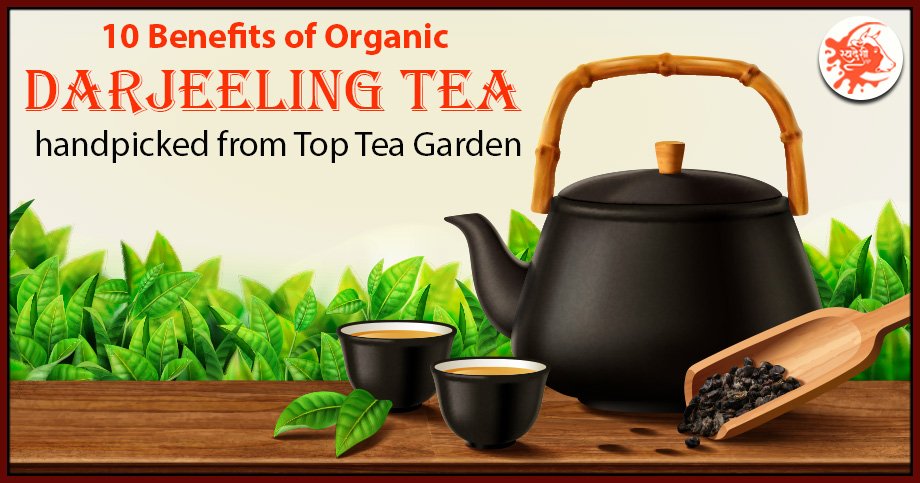 organic Darjeeling tea