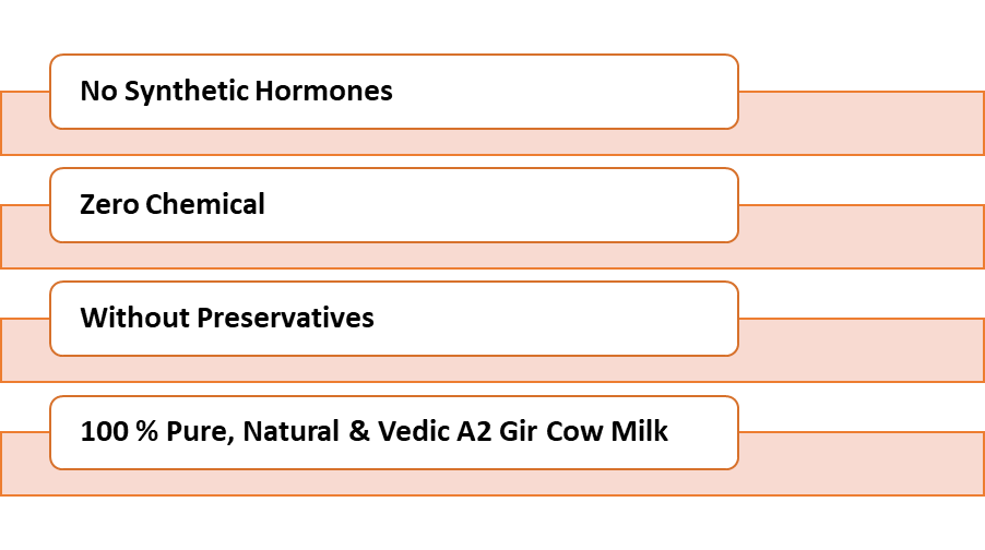 Vedic A2 Cow Milk