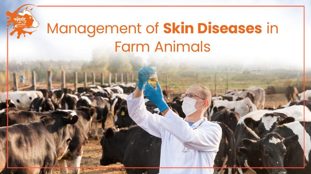 Skin Diseases in Farm Animals